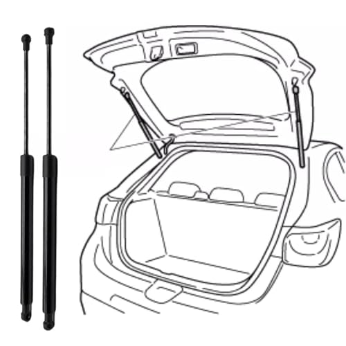 Verin de coffre pour remplacer un hayon lourd sur Chrysler Town Country - 2