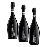 Bottega Il Vino dei Poeti Valdobbiadene Brut Prosecco Superiore DOCG Spumante - 750ml (Confezione da 3)