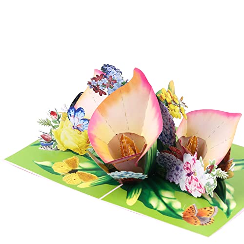 Truance Pop Up Greeting Cards Assortment, 6 Cards, Flower Card, Birthday Cards, Anniversary, Mother Day, Father Day, Thinking Of You, Thank You Card #TOP5