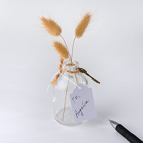 Price Tags With String Attached, 1000Pcs White Matte Surface Marking Merchandise Strung Tags Writable Label Small Hang Tag For Pricing Gift Jewelry Clothing Yard Sale Garage Supplies 1.75 X 1.093 Inch #TOP3