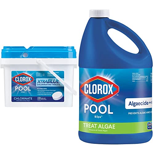 Top 10 Algaecide For Pool Clorox of 2022 Katynel