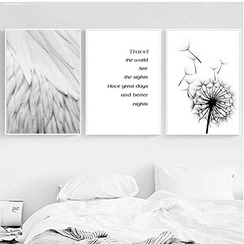 Affiche pissenlit plante plume pour impression toile photos salon 50x70