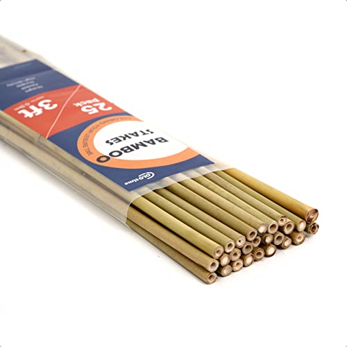 Image of COLOtime Bamboo Stakes 3FT Garden Stakes Plant Stakes for Indoor and Outdoor Climbing Plants Poles Sticks Support Tomatoes Eggplants Beans 25 Pack
