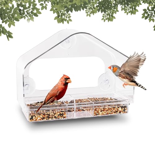 Clear Acrylic Bird Feeder with Suction Cups
