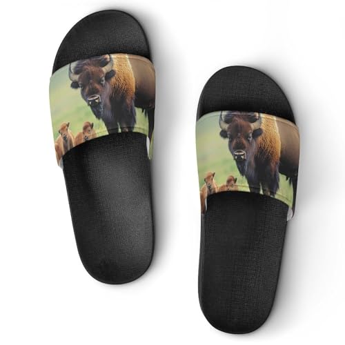 Bison Family Mom And Little Slippers for Men Wormen Shower Bathroom Slipper Indoor Beach Non Slip Sandal