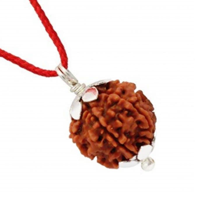 PANDIT NM SHRIMALI 4 Mukhi Nepali Rudraksha Original/Natural/Real 4 Faces Rudraksh (Char Mukhi) | Natural and Certified | Unisex - for Both Men and Women (B086YSS2DV) Amazon Price History, Amazon Price Tracker
