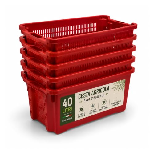 OWIJI Cassetta Agricola in Plastica Traforata Made in Italy Set