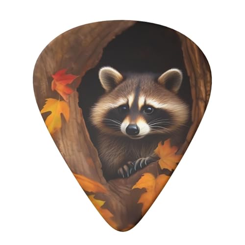 Evanem �M�^�[�s�b�N �v���N�g���� �I�[�K�i�C�U�[ ���[�{�b�N�X �H �؂̌� �A���C�O�} �G���L�E�N�����s�b�N�p �A�R�[�X�e�B�b�N�M�^�[�p 0.71mm 6�p�b�N