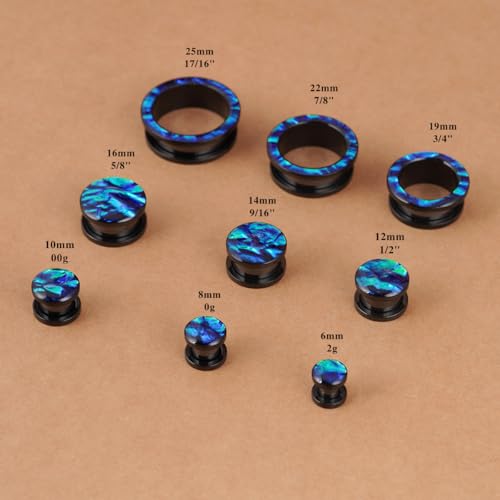 4PCS Stainless Steel Resin Gauges PU Colorful Chameleon Series Ear Plugs and Tunnels 3 Colors Ear Gauge Tunnels Light Color Screw Fit Expander Stretcher For Women Men Body Piercing Jewelry2