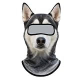 Cat Ski Masks, 3D Sheisty Face Balaclava, Winter Outdoor Cute Dog-Eared Theme Covering Motorcycle Helmet for Bar, UV Sun Protection Costumes for Women Adult Kids Cycling, No 2 Pack