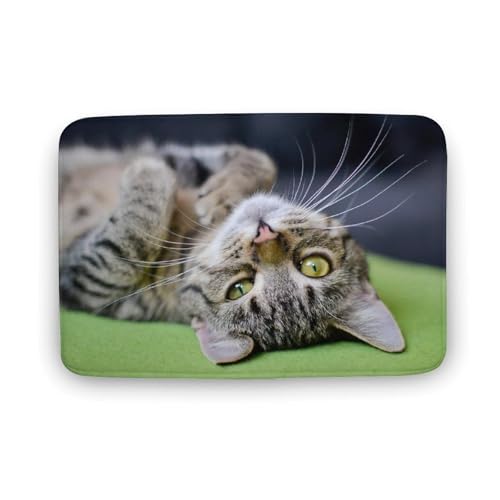 L   oX}bg   z փ}bg  O   \ ~ Aj LN^[ @}bg   ʏ