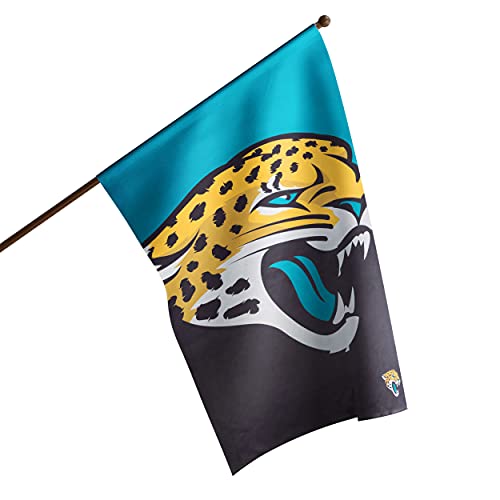 FOCO NFL Double Sided Team Logo Vertical Flag (40" x 28")