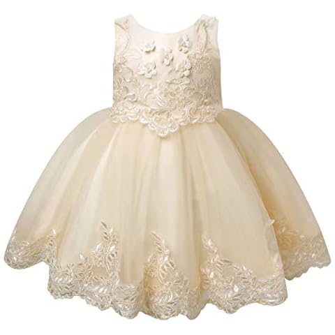 Jowowha Baby Mädchen Kleid Prinzessin Kleid Hochzeit Blumenmädchenkleid Taufkleid Festlich Partykleid Festzug Babybekleidung Gr.50-92 H Champagne 80-92 Cover