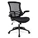 Price comparison product image SONGMICS Desk Chair, Mesh, Black, One Size