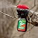 Wildlife Research 82168 Hot-Scrape 8-Ounce Trigger Bottle, Silver