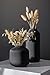 flature Ceramic Vases in Nordic Style, Modern Vase Deco for Pampas Grass, Boho Deco for Windowsill, Vases Set in Black Matt, Flower Vase as Home Decoration for Fresh Flowers, Dried Flowers, Set of 2