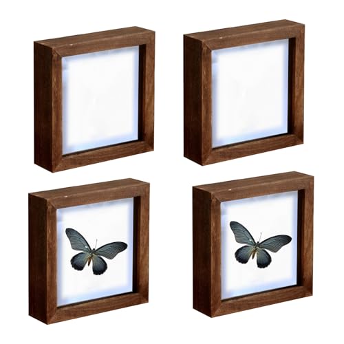 4 PCS Insect Display Case, Butterfly Shadow Box for Insect