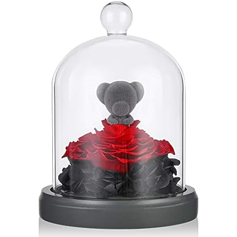 E-MANIS Beauty and The Beast Rose Teddy Bear,Handmade Preserved Real Eternal Rose,LED Lights in Glass Dome on Wood Base Warm Light,Gifts for Her Thanksgiving Day Valentine's Day,Mother's Day,Christmas Cover
