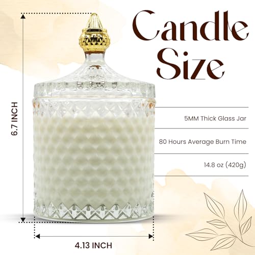 VIONAMI Luxury Scented Candle Gift – Queen of The Night Rare Flower Fragrance in Elegant Glass Jar, Decorative Soy Candles Gifts for Women, Long-Lasting 80 Hr, 14.8 oz, Luxury Candles for Women
