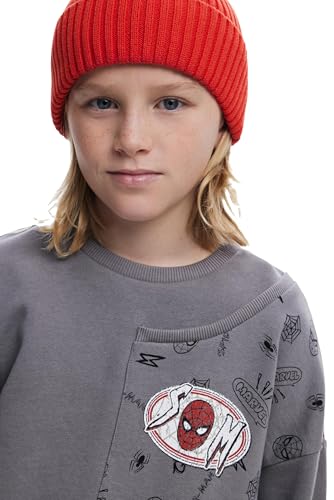 Desigual Boys' Sweat_Patches_Marve3