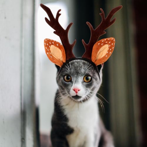 Ornement de Noël en forme de bois de cerf Healeved pour chien