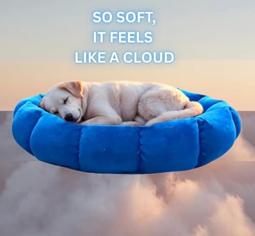 Image of Round Donut Pet Bed for Cats and Puppies Dogs mat, Cozy and Plush, Raised Bedside Support, Both Sides Use Like 2 in One, Washable, Dog Bed, Sizes for Small, Medium, and Large Pets