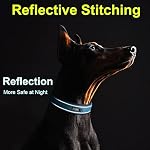 Fida Heavy Duty Dog Collar, Ultra Comfortable Soft Neoprene Padded, Adjustable Reflective Nylon Pet Collar with Durable Metal Belt Buckle for Small Breeds (S, Blue) - Image 5