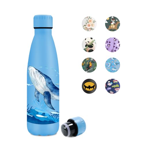 KollyKolla Botella Agua Acero Inoxidable 500ml, Cantimplora con Tapa, sin BPA, Fácil de llevar, Botella Termo Reutilizable para Camping, Niño, Niña, Adulto, Deporte, Escuela, Oficina, Fitness