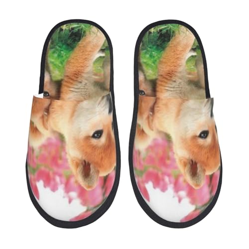 [JECASS] 킢 lC v[g Aj Xbp  Y 􂦂 gC qp p E Xbpjp LN^[ ObY  fB[X ~ 킢 qpm