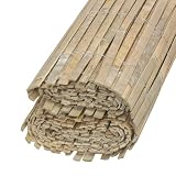 AUBRY GASPARD   Canisse en Lames De Bambou Naturel 100X500 cm   Brise Vue Esthétique et Écologique   Facile À Transporter   Idéale pour Jardin et Terrasse   Couleur Naturelle   Taille 100X500 cm