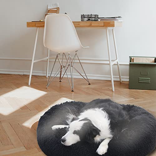 The 7 Best nononfish Dog Beds of 2024 [Verified] Cherry Picks