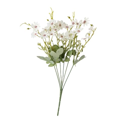 AKTOUR Casetta Cartone Bomboniere Piccola falso Decorazione morbida Piccola composizione di fiori freschi semplice per la casa Zucche Ornamentali Vere (A, One Size)
