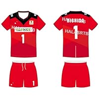 非売品 選手支給品 バレーボール 日本代表 練習着 トレーニングウェア 4XL 非売品 選手支給品 バレーボール 日本代表 練習着 トレーニング