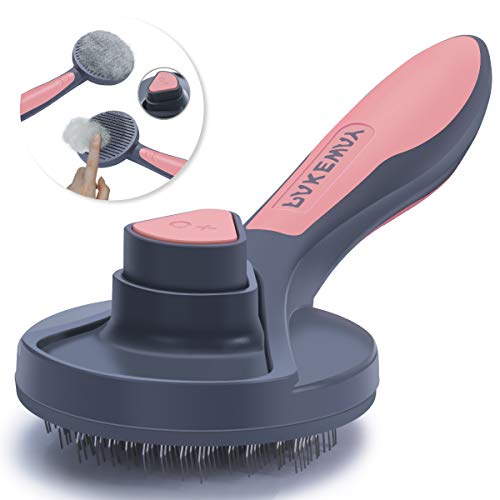 Top 10 Best Dog Brushes For Reviewed in 2020 PetStruggles