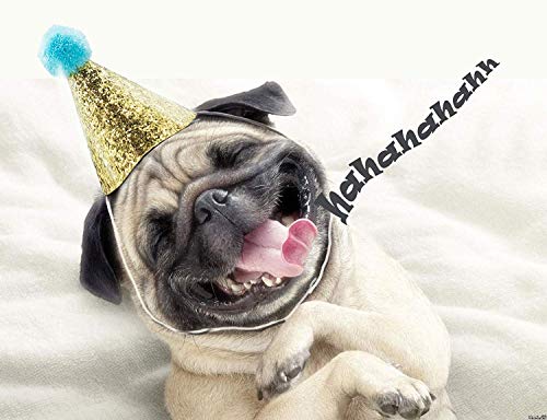 4Pcs- Dog Birthday Hat For Pets Party Decoration Supplies， Cat Kitten Headband Hats Charms Grooming Accessories #TOP3