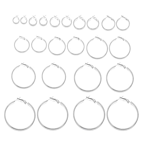 DHWEKU 12 Paia Cerchio Orecchini Piercing Orecchio Cerchi in Acciaio Inox Anelli per Donne Ragazze, 12 Taglie, 20-75 mm
