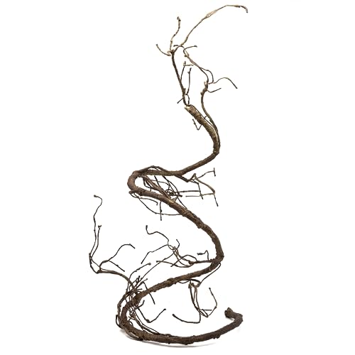 Pangea Reptile Ultimate Vine For …