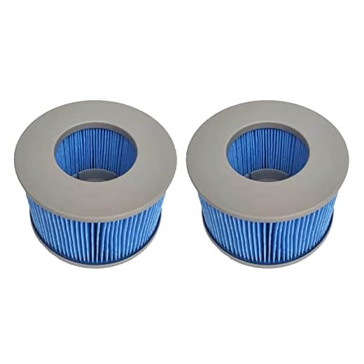 Wuyan Paquete De Ersión Mejorada 2 Piezas De Hidromasaje Mspa Spa Y Cartucho De Filtro De Spa Cartucho De Filtro De Repuesto Para Bañera De Hidromasaje Y Bomba De Cartucho De Spa Filtro De Agua