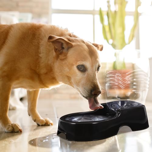 Dispensador automático de agua para gatos y perros Sosoport miniatura 2