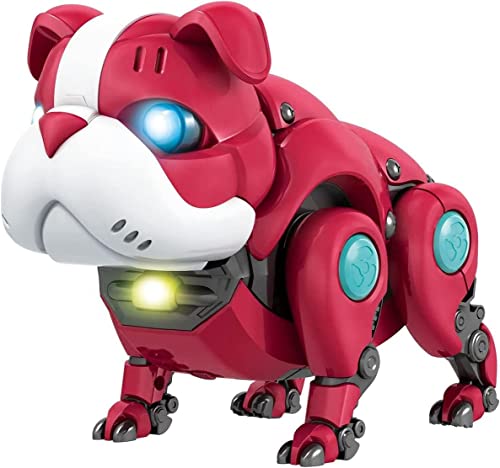 FunBlast Robot Dog Toy, Action Figure Mechanical Dog Toys, Musical Dog Robot Toy with Colorful Flashing Lights and Music for Kids Boys Girls, Robot Toys for 3+ Years Old Kids (Multicolor)
