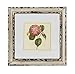 IMAX 47338-4 Lynette Framed Artwork, Set of 4
