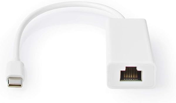 KnnX 28046 Cavo adattatore USB 3 1 C maschio a RJ45 femmina Velocit 10100 Mbit