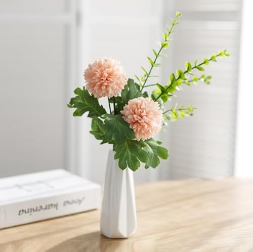 Demanca  CeA A[gt[ ԑ EGX^[Yt[ O v[g Mtg 蕨 JXj a    EFfBO u[P   Be p z[ 뉀 Lb` ItBX \[vt[ 