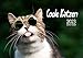 Produktbild Edition Seidel Coole Katzen mit Sprüchen Premium Kalender 2023 DIN A3 Wandkalender Europa Tiere Katzen mit Sprüchen Kitten Katzenkalender lustige coole Sprüche