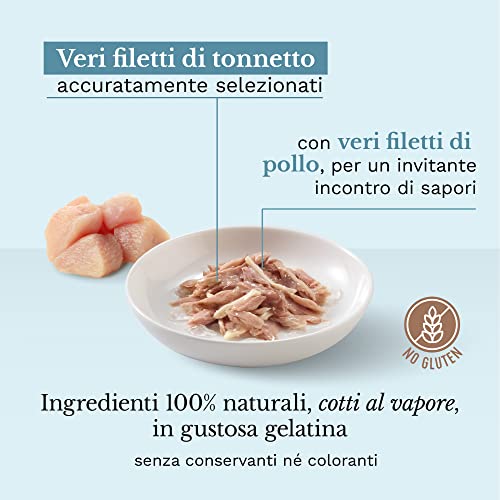 Schesir Cat Jelly Thunfisch mit Huhn, Katzenfutter nass in Gelee, 24 Dosen x 85 g