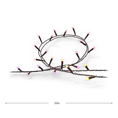 Philips Hue Festavia lichtsnoer - 20 meter - 250 LED's