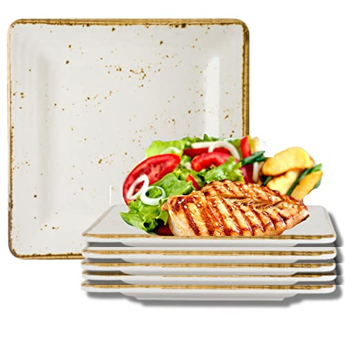 Steelite International 68A540EL791 Melamine Snack Appetizer Plate, Heavy Duty, Break Resistant Grade, Craft Coupe 5" Square, Brown Rim Rustic Speckled, 6 Set, Cream