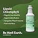 Nature's Sunshine Liquid Chlorophyll - Immunity Support, Detox & Cleanse, Chlorophyll Liquid Drops with Spearmint Oil, and Internal Deodorant (Original, 32 Fl Oz)