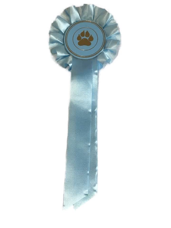 1 tier Rosette ribbon award prize Box pleat prize, fund raising, birthday. 3.5" (8.cm) across, and 9" (22.cm) Custom text optional (Light Blue)