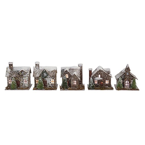 Creative Co-op Snow Flocked Paper & Birch Bark Buildings with LED Lights (Set of 5 Styles), Batteries Included, 3.5